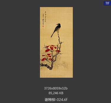 谢稚柳 #024