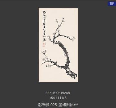 谢稚柳 墨梅图轴
