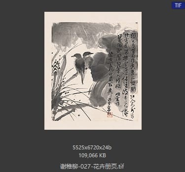 谢稚柳 花卉册页