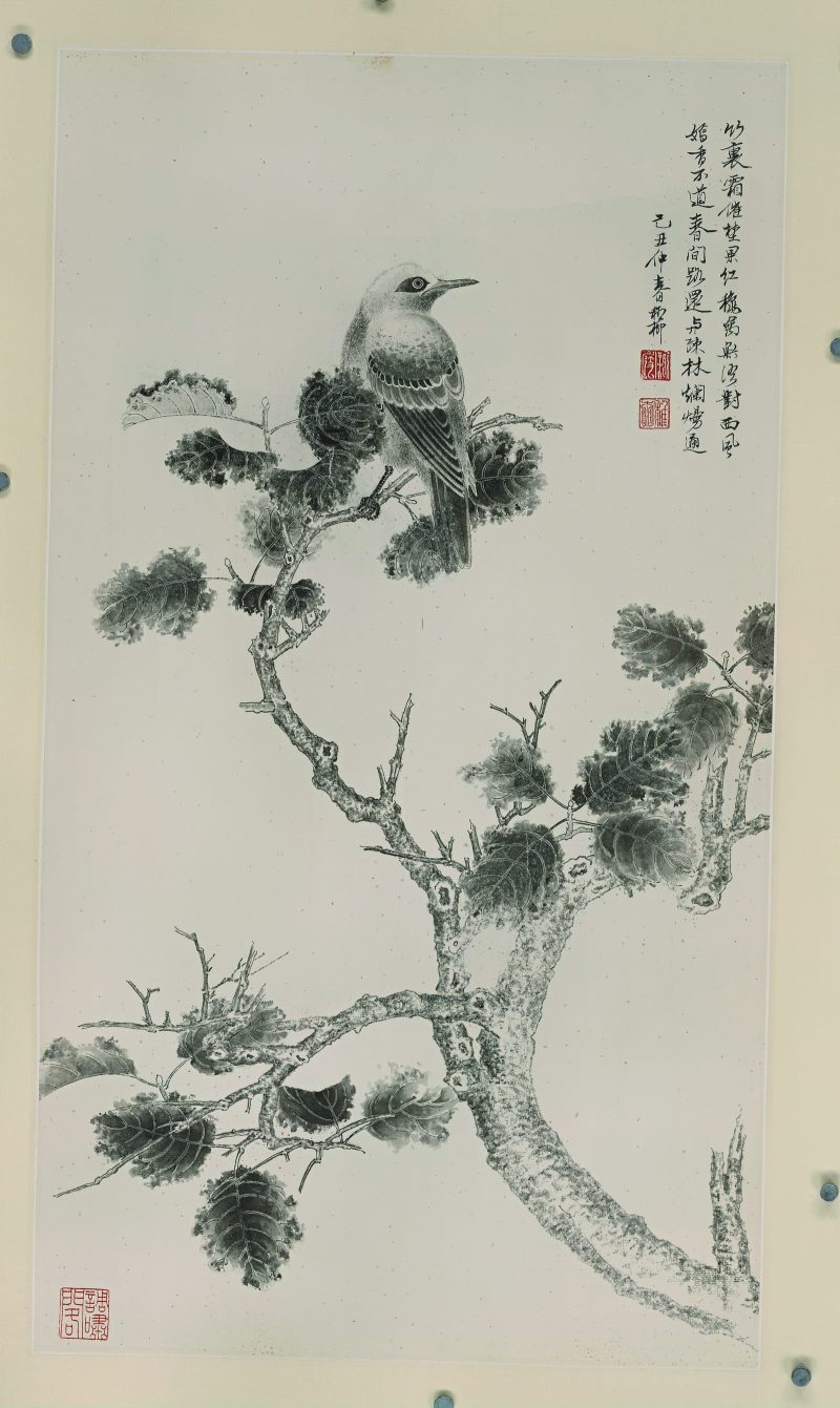 谢稚柳 霜催禁果红