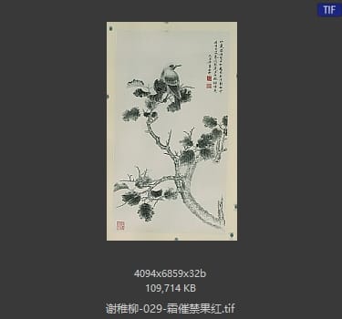 谢稚柳 霜催禁果红