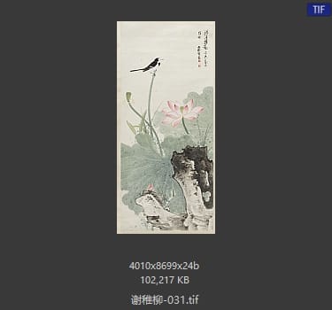 谢稚柳 #031