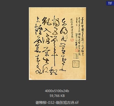 谢稚柳 临张旭古诗
