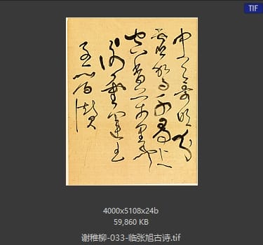 谢稚柳 临张旭古诗