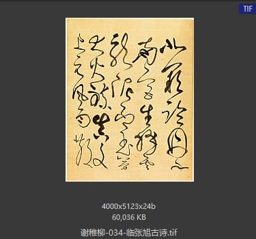 谢稚柳 临张旭古诗