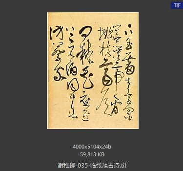 谢稚柳 临张旭古诗