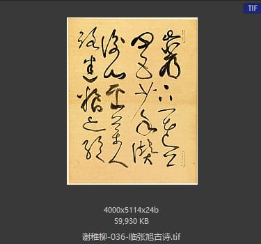 谢稚柳 临张旭古诗