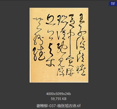 谢稚柳 临张旭古诗