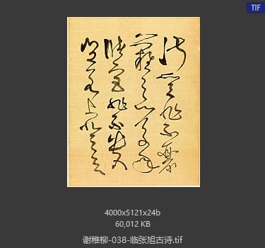 谢稚柳 临张旭古诗