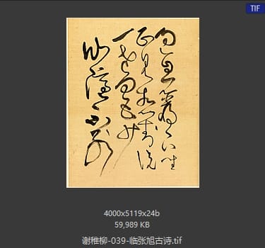 谢稚柳 临张旭古诗