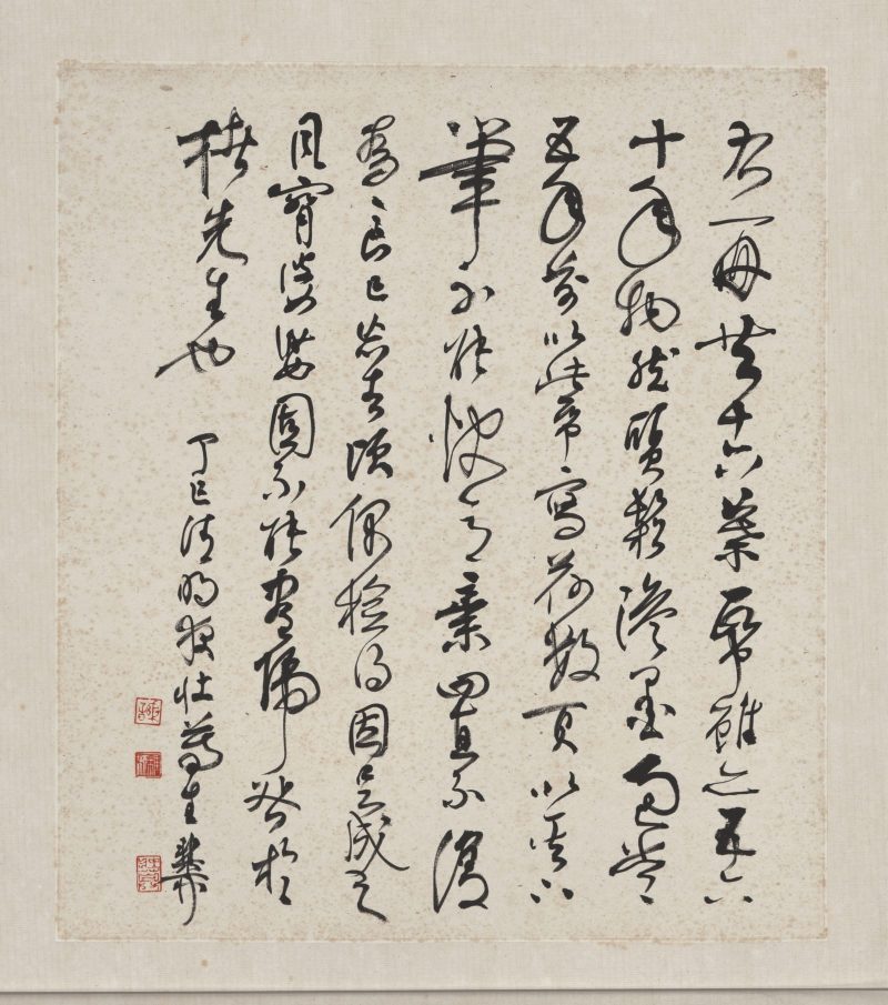 谢稚柳 花卉册页