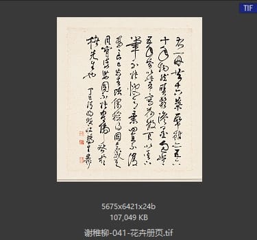 谢稚柳 花卉册页