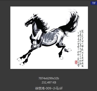 徐悲鸿 小马