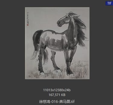 徐悲鸿 奔马图