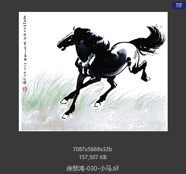 徐悲鸿 小马