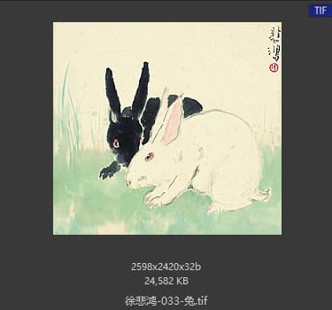 徐悲鸿 兔