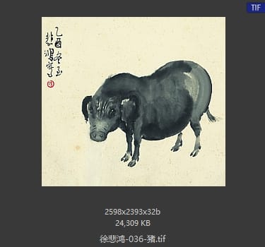 徐悲鸿 猪