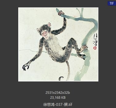 徐悲鸿 猴