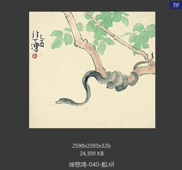 徐悲鸿 蛇