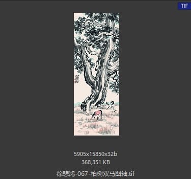 徐悲鸿 柏树双马图轴