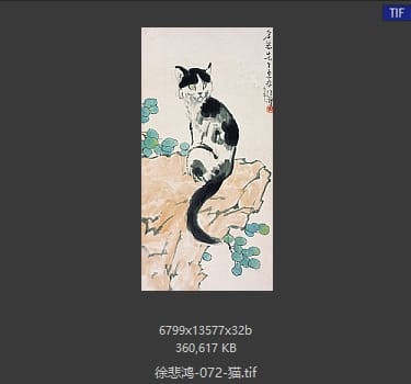 徐悲鸿 猫