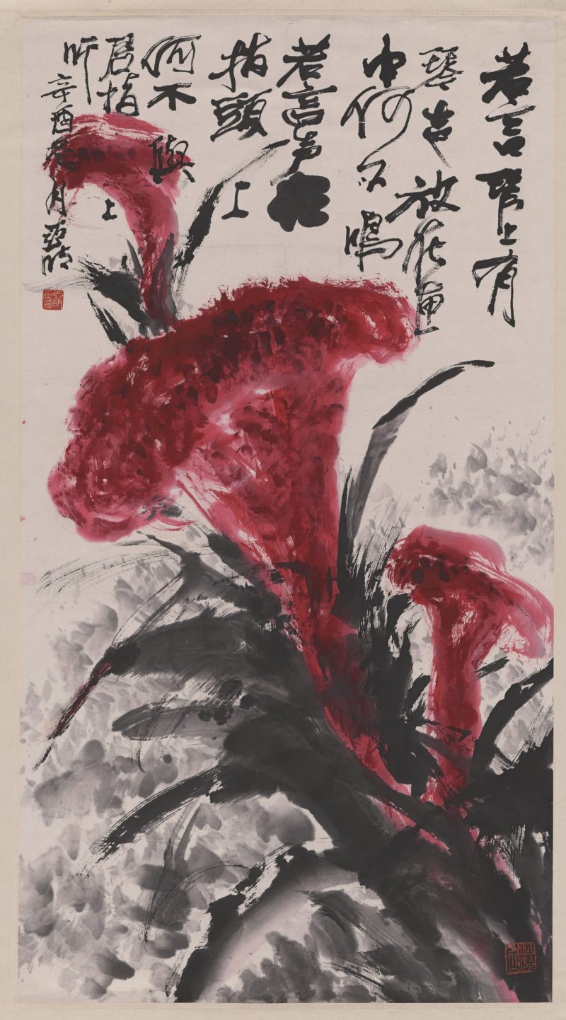 亚明 鸡冠花