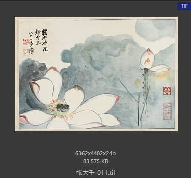 张大千 #011