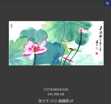 张大千 嘉藕图