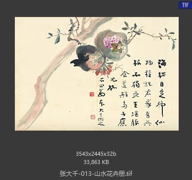 张大千 山水花卉册