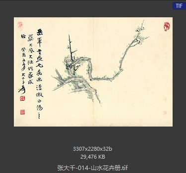 张大千 山水花卉册
