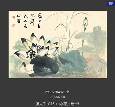 张大千 山水花卉册