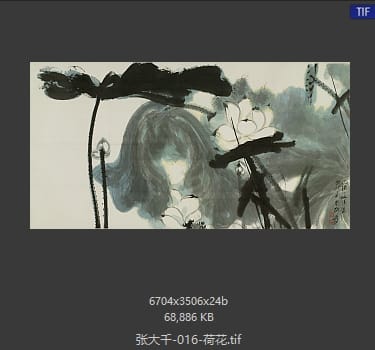张大千 荷花