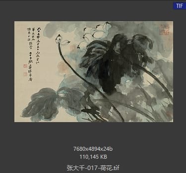 张大千 荷花