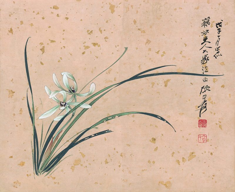 张大千 兰花