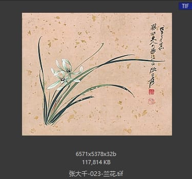 张大千 兰花