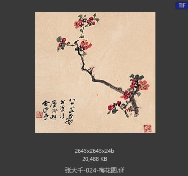 张大千 梅花图