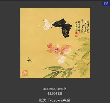 张大千 花卉