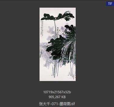 张大千 墨荷图