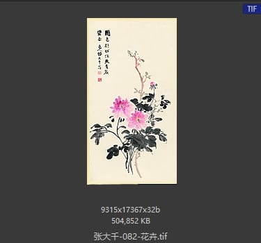 张大千 花卉
