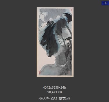 张大千 荷花