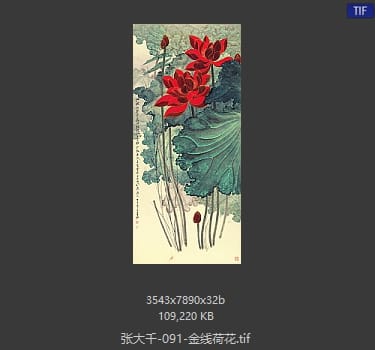 张大千 金线荷花