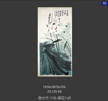 张大千 荷花1