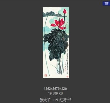 张大千 红荷
