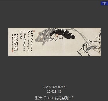 张大千 荷花系列01