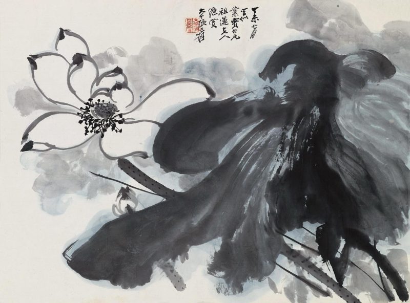 张大千 荷花系列02