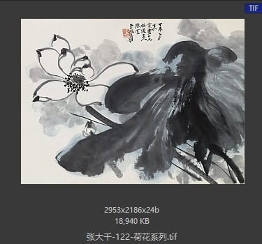 张大千 荷花系列02