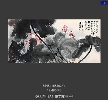 张大千 荷花系列03
