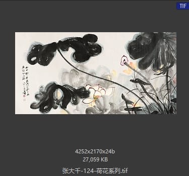 张大千 荷花系列04
