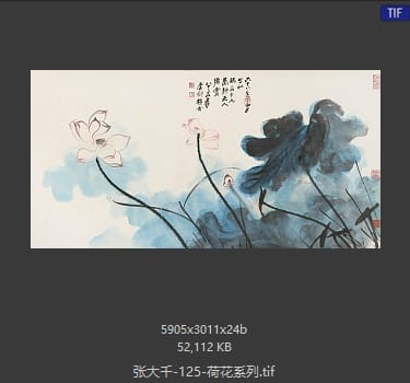 张大千 荷花系列05