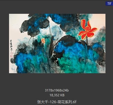 张大千 荷花系列06